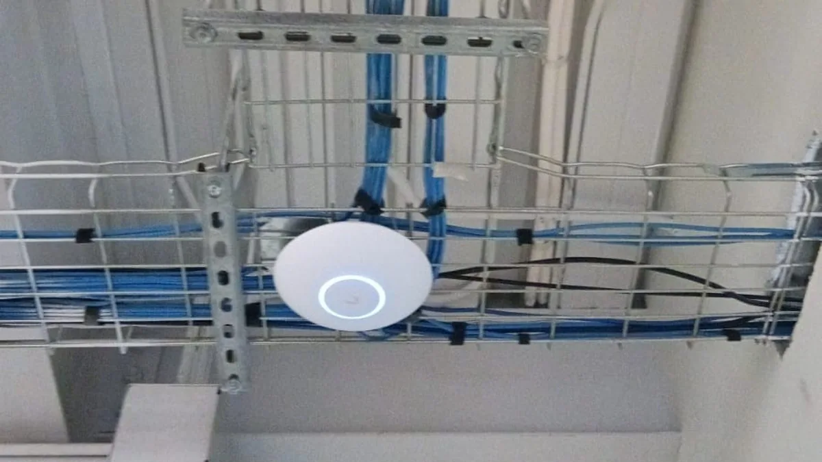 Punto de acceso WiFi empresarial montado bajo la escalerilla del techo, junto al cableado de red de un negocio en Tijuana